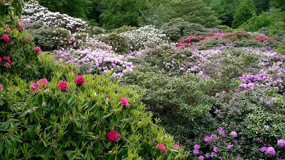 sheringham-park.jpg
