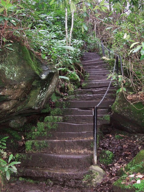 Steps_to_Hunting_Tower_-_geograph.org.uk_-_648135.jpg