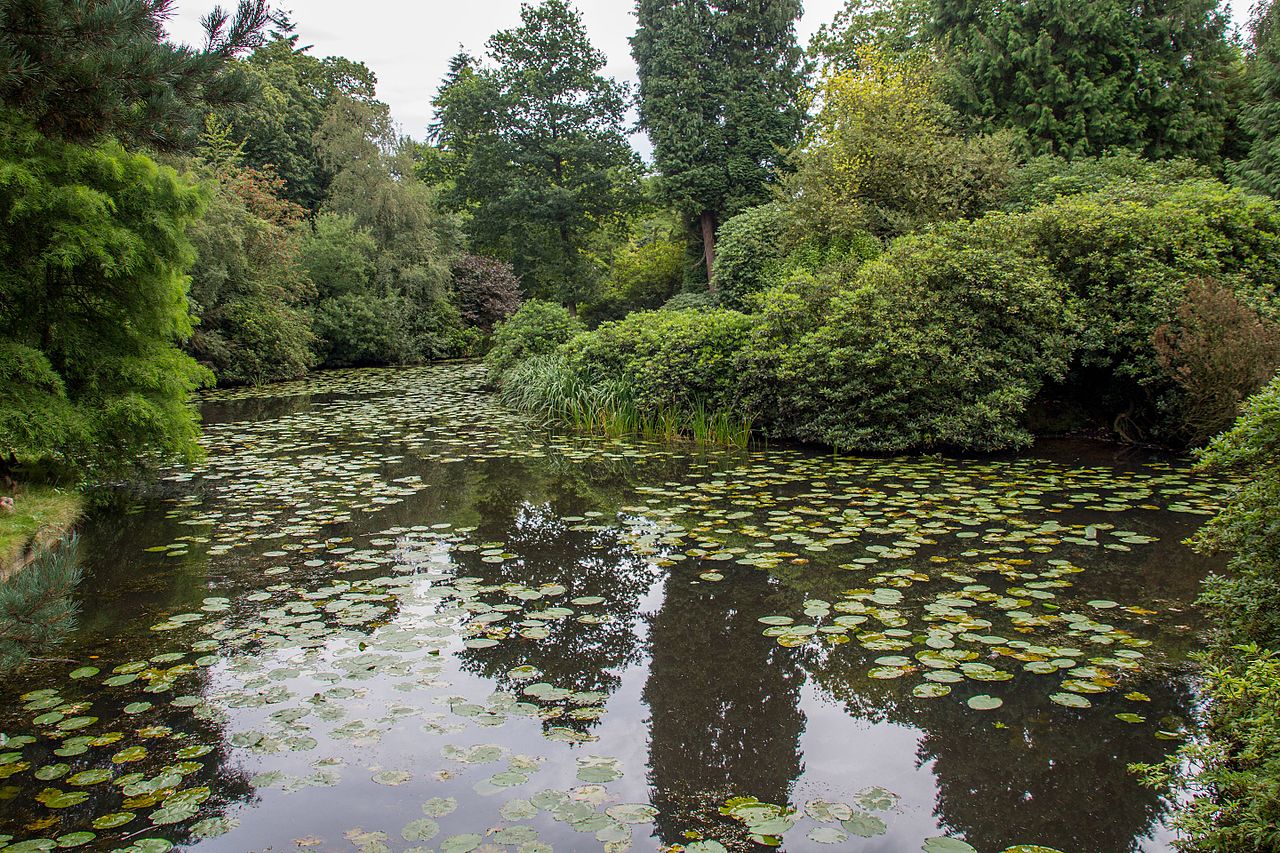 Tatton_Park_2016_041.jpg