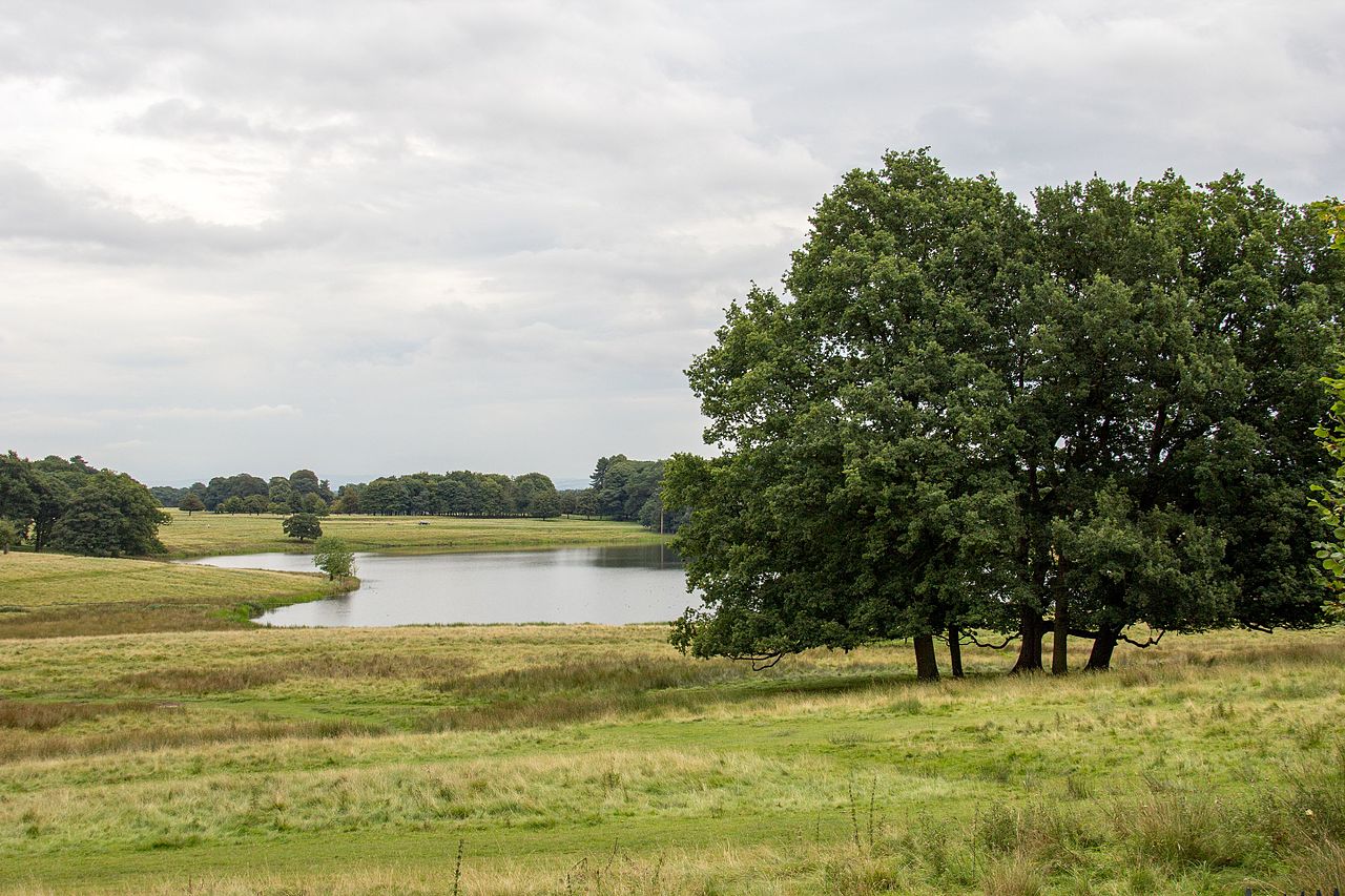 Tatton_Park_2016_056.jpg