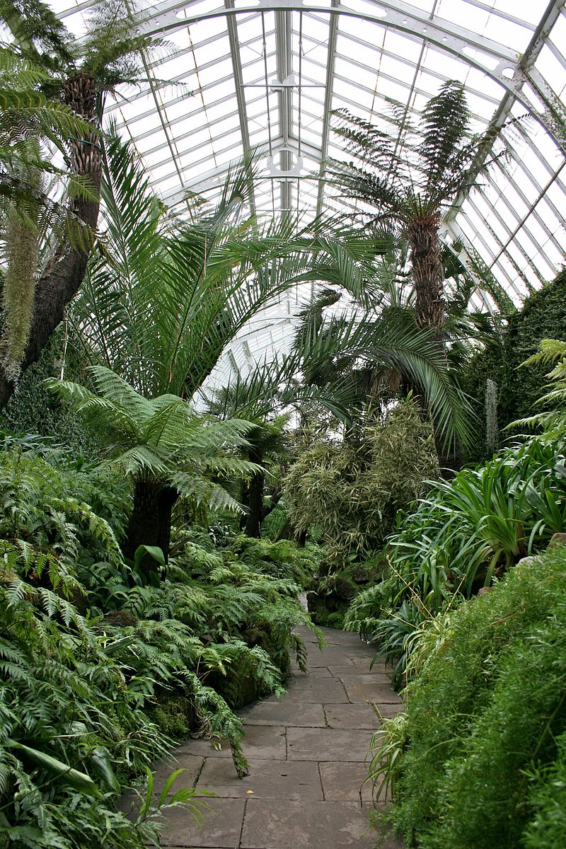 Tatton_Park_gardens_2009-19.jpg