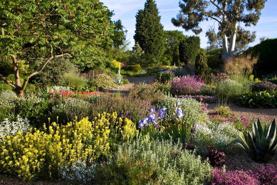 the-beth-chatto-gardens-3c88f3b.jpg