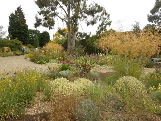 the-dry-garden.jpg