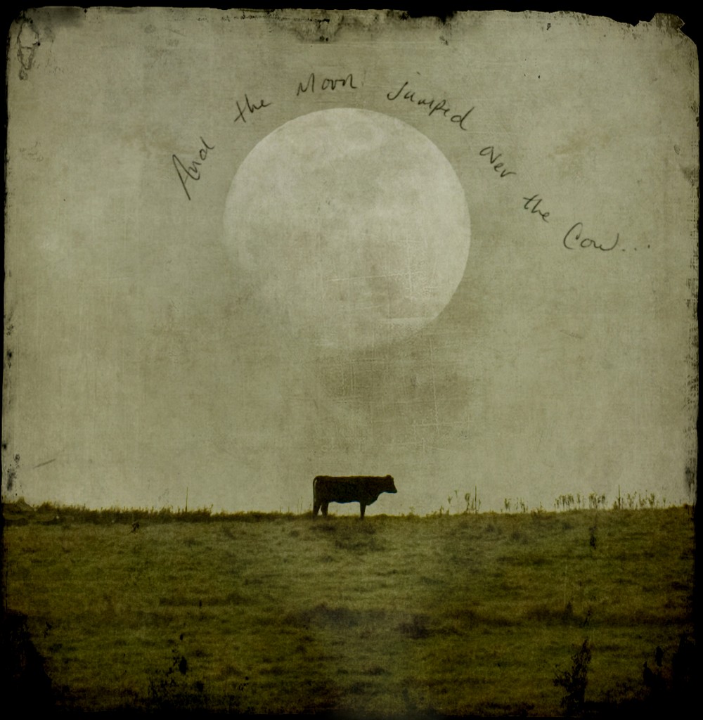 The-moon-and-the-cow...-1000x1024.jpg