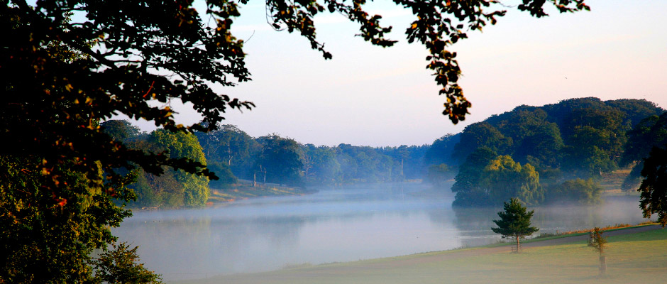 the-park-lake-walk.jpg