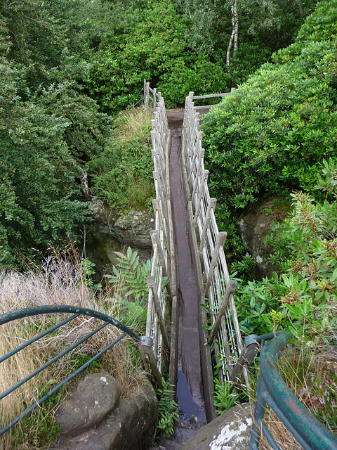 The_Swiss_Bridge,_Hawkstone_Park_-_geograph.org.uk_-_1501575.jpg