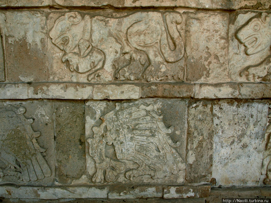 Tollan (1).jpg