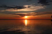 IMG_6202.jpg