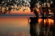 IMG_6249.jpg