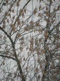 DSCN9874.JPG