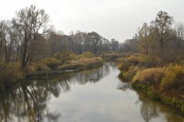 _DSC0006.JPG