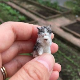 кош8.jpg