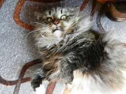 DSCN2792.JPG