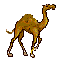 NikoPilgrim